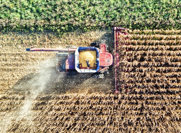 Agriculture Drones Philippines - DronesPH 4